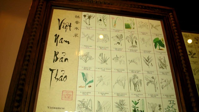 visit vietnam visit Fito museum traditional herb 